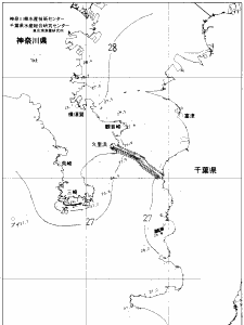 東京湾口海況図(2019/08/22)