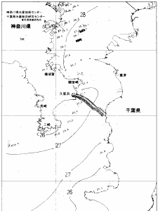 東京湾口海況図(2019/08/23)