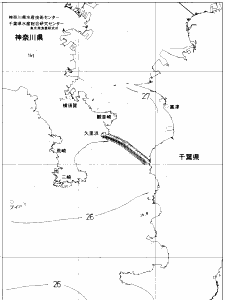 東京湾口海況図(2019/08/28)