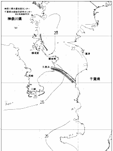東京湾口海況図(2019/08/29)