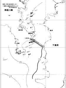 東京湾口海況図(2019/09/13)