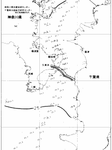 東京湾口海況図(2019/09/19)