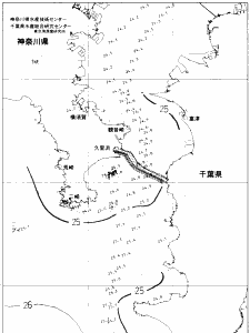 東京湾口海況図(2019/09/25)