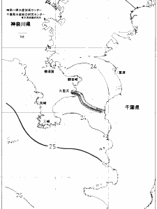 東京湾口海況図(2019/10/03)
