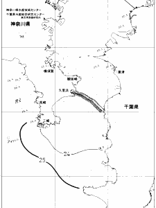 東京湾口海況図(2019/10/08)