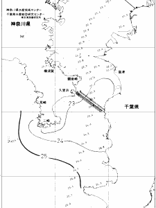 東京湾口海況図(2019/10/11)