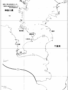 東京湾口海況図(2019/10/12)