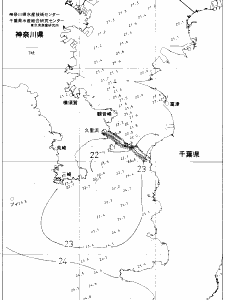 東京湾口海況図(2019/10/15)