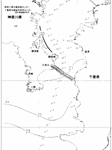 東京湾口海況図(2019/10/19)