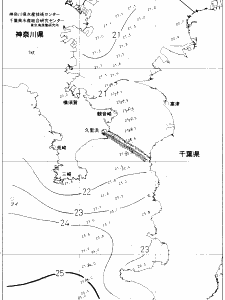 東京湾口海況図(2019/10/21)