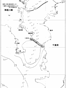 東京湾口海況図(2019/10/27)