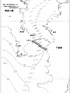 東京湾口海況図(2019/10/30)