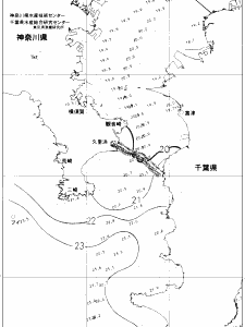 東京湾口海況図(2019/11/01)