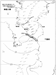 東京湾口海況図(2019/11/02)