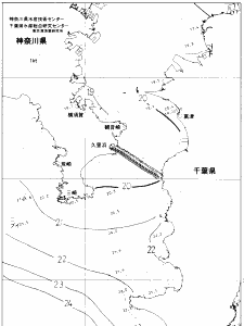 東京湾口海況図(2019/11/05)