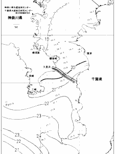 東京湾口海況図(2019/11/09)