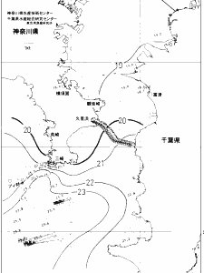 東京湾口海況図(2019/11/13)
