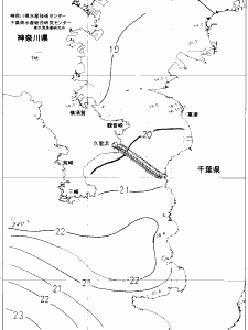 東京湾口海況図(2019/11/14)