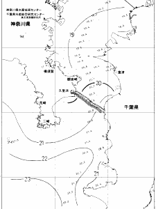 東京湾口海況図(2019/11/15)