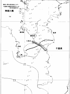東京湾口海況図(2019/11/16)