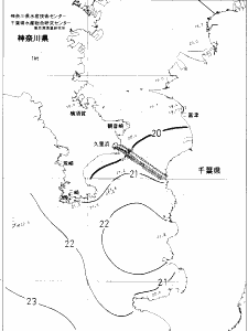 東京湾口海況図(2019/11/19)