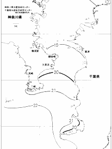東京湾口海況図(2019/11/21)
