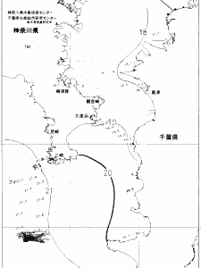 東京湾口海況図(2019/11/22)