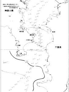 東京湾口海況図(2019/11/24)