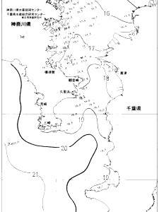 東京湾口海況図(2019/11/28)