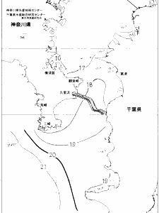 東京湾口海況図(2019/11/30)