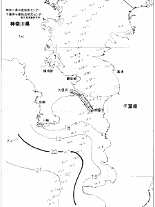 東京湾口海況図(2019/12/01)