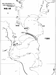 東京湾口海況図(2019/12/05)
