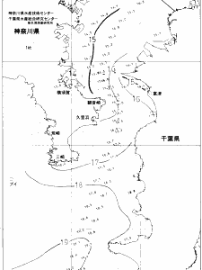 東京湾口海況図(2019/12/10)