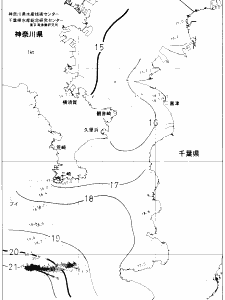 東京湾口海況図(2019/12/11)