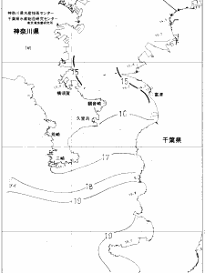 東京湾口海況図(2019/12/13)