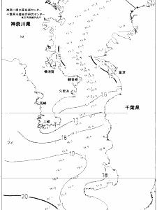 東京湾口海況図(2019/12/16)