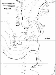 東京湾口海況図(2019/12/17)