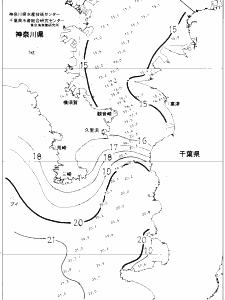 東京湾口海況図(2019/12/18)