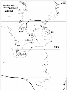 東京湾口海況図(2019/12/20)