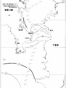 東京湾口海況図(2019/12/21)
