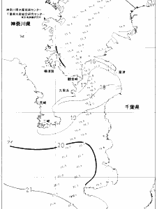 東京湾口海況図(2019/12/22)