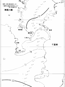 東京湾口海況図(2019/12/23)
