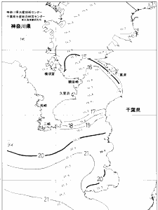 東京湾口海況図(2019/12/24)