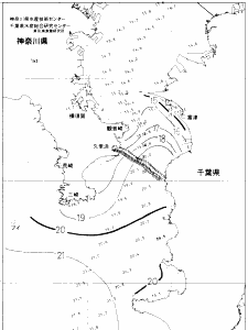 東京湾口海況図(2019/12/26)