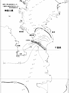 東京湾口海況図(2019/12/28)