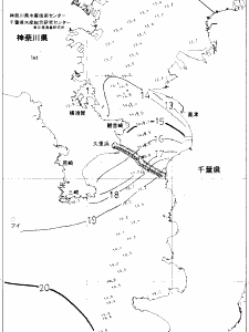 東京湾口海況図(2020/01/02)