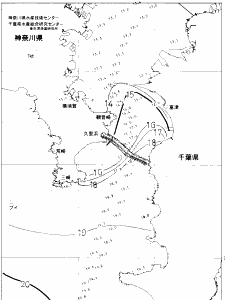 東京湾口海況図(2020/01/03)