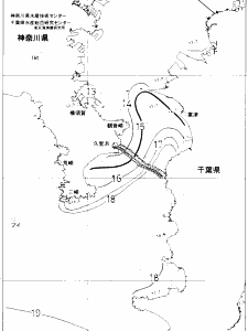東京湾口海況図(2020/01/05)
