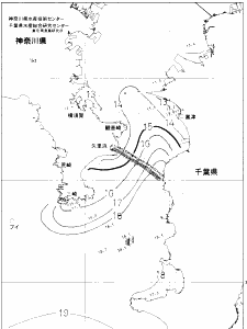 東京湾口海況図(2020/01/06)