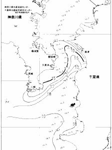 東京湾口海況図(2020/01/08)